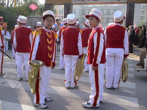 世界青少年武术运动会中国队夺得多项荣誉,青少年武术冠军