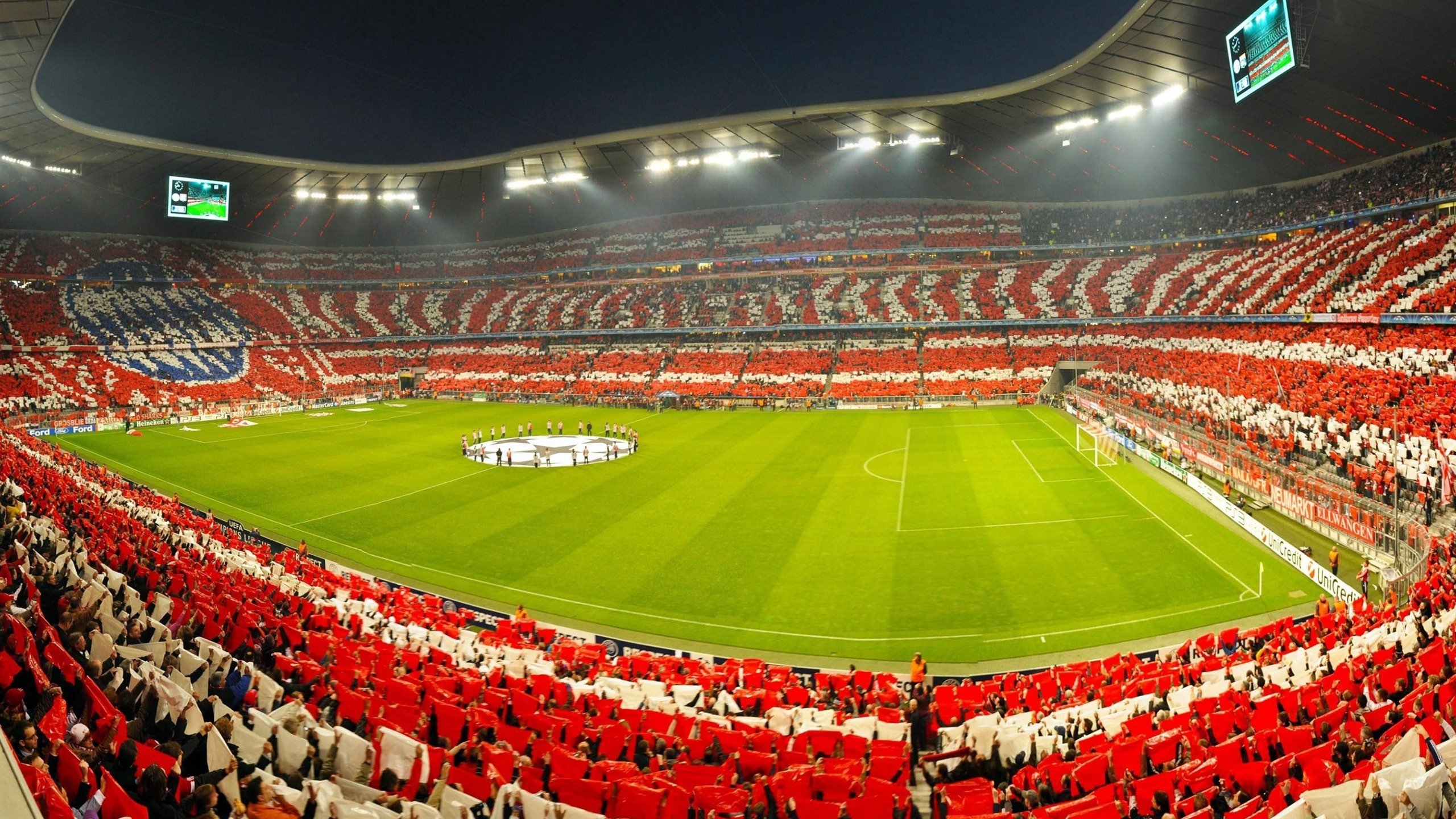 波兰仰泳选手状态逐渐回暖，波兰45米深泳池